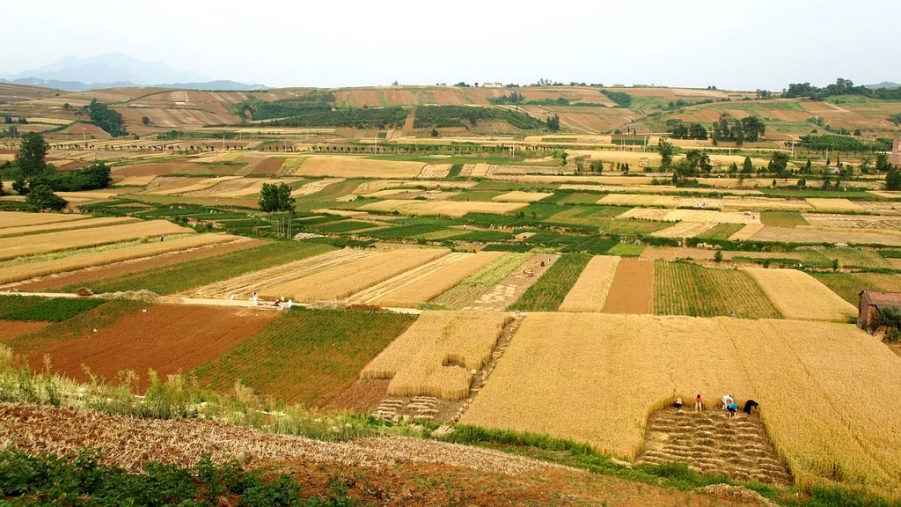 FENGGUANG 155A.jpg
