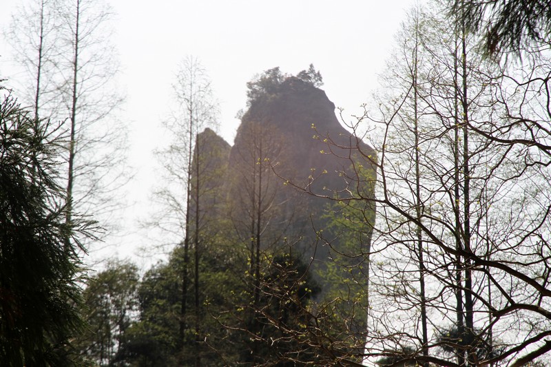 黄山旅游照片 334.jpg