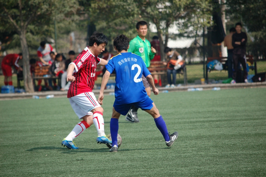 DSC_0348.JPG