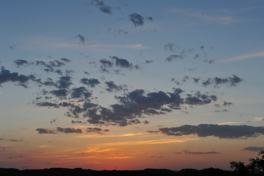 DSC_7818.jpg