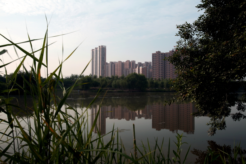 IMG_0008 拷贝01.JPG