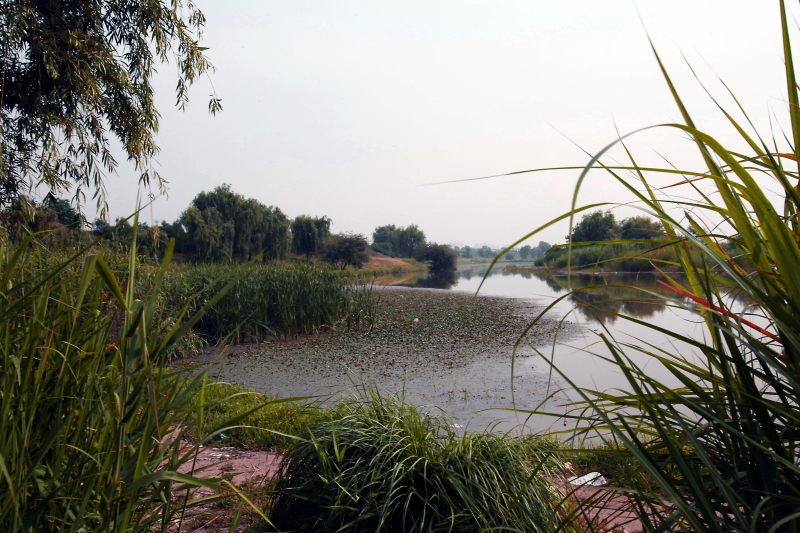 IMG_0030 拷贝01.JPG