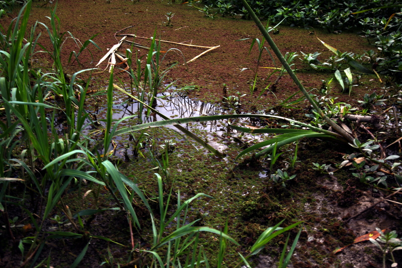 IMG_0033 拷贝01.JPG