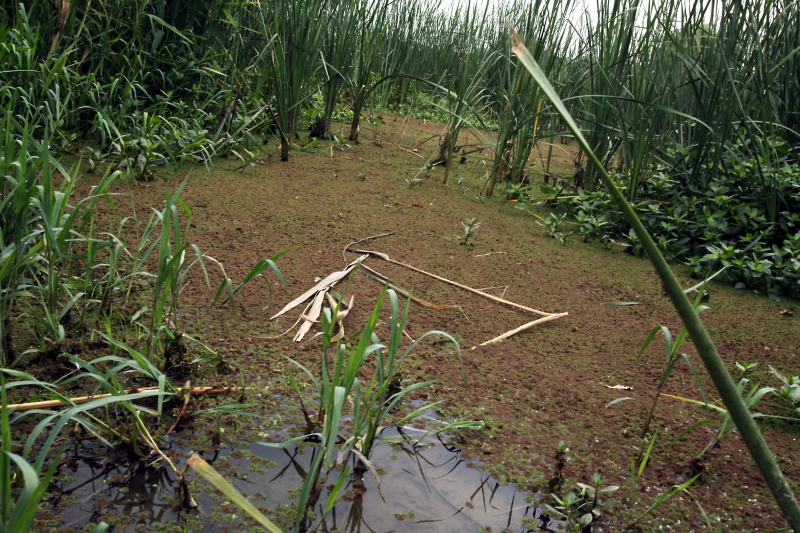 IMG_0034 拷贝01.JPG