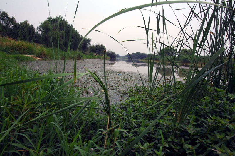 IMG_0038 拷贝01.JPG