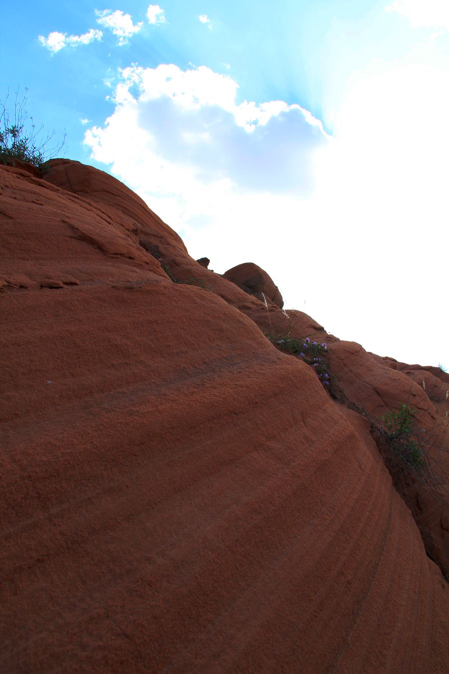 IMG_4344.jpg