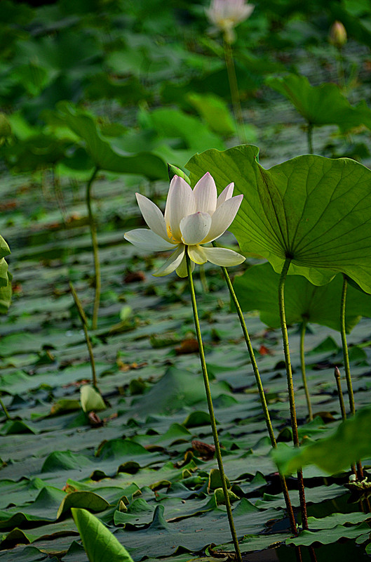 照片 031_副本.jpg