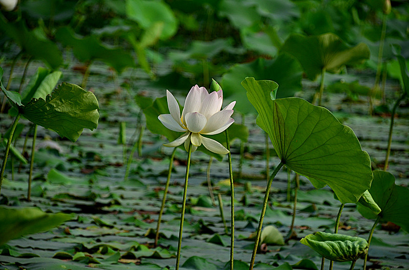 照片 033_副本.jpg