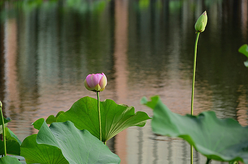 照片 039_副本.jpg