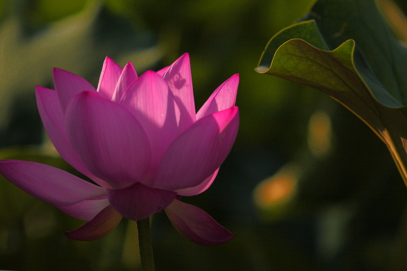 IMG_7797 拷贝01.JPG