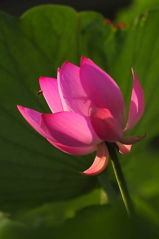 IMG_7800 拷贝01.JPG