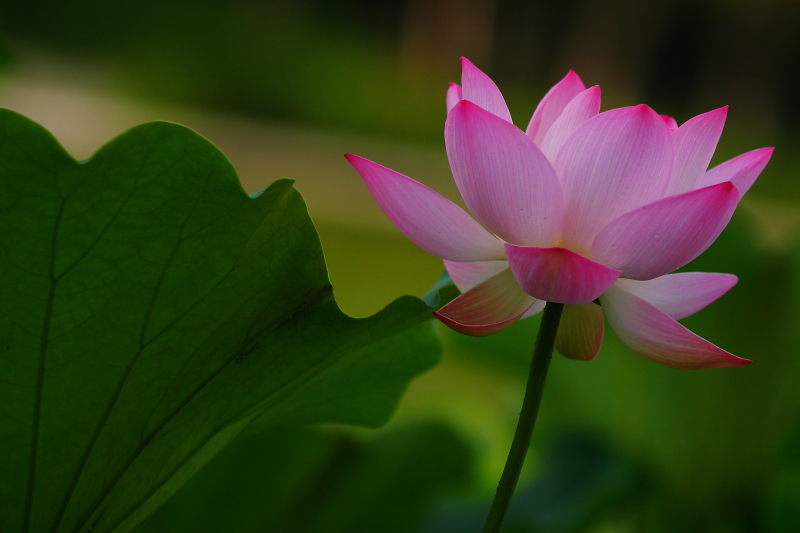 IMG_7813 拷贝01.JPG