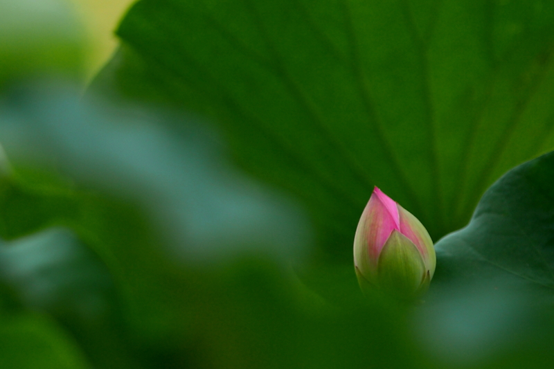 IMG_7814 拷贝01.JPG