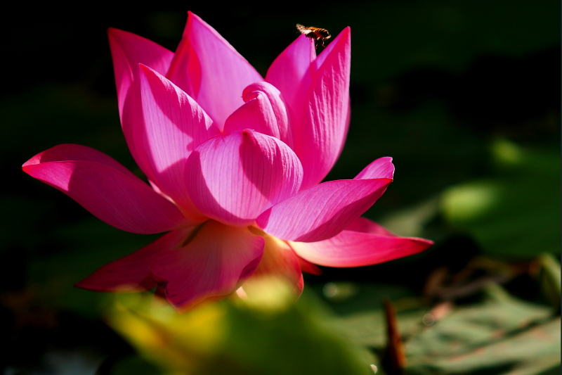 IMG_7819 拷贝01.JPG