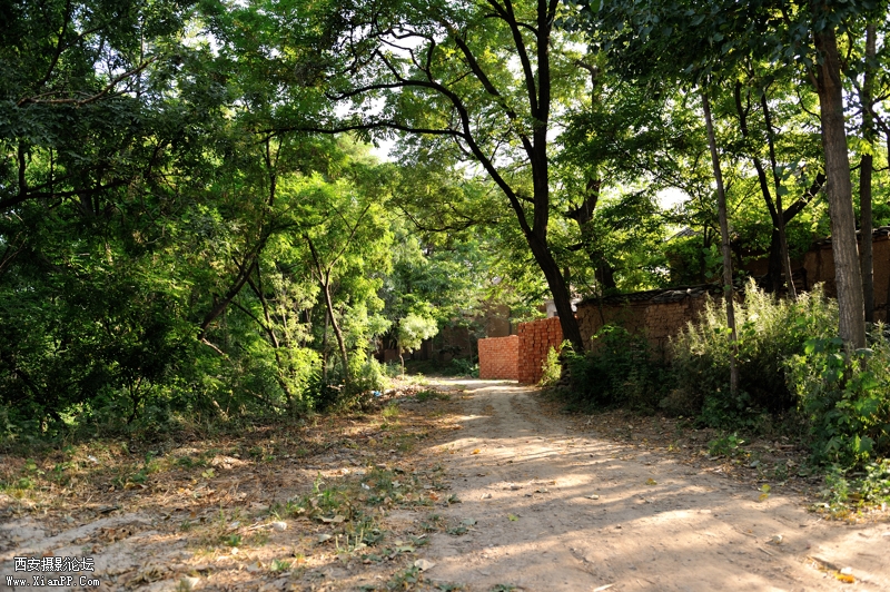 HOU_9683.jpg