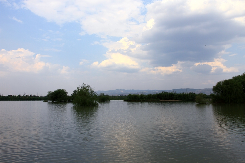 灞河湿地 016.jpg