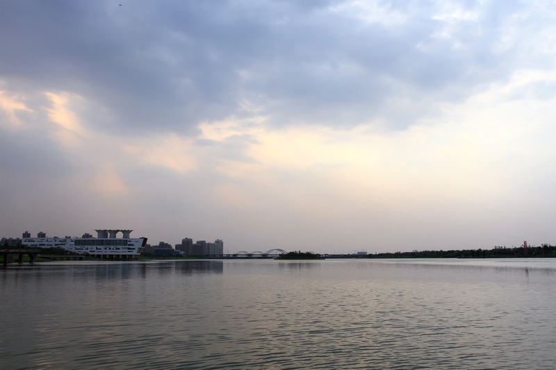 灞河湿地 091.jpg