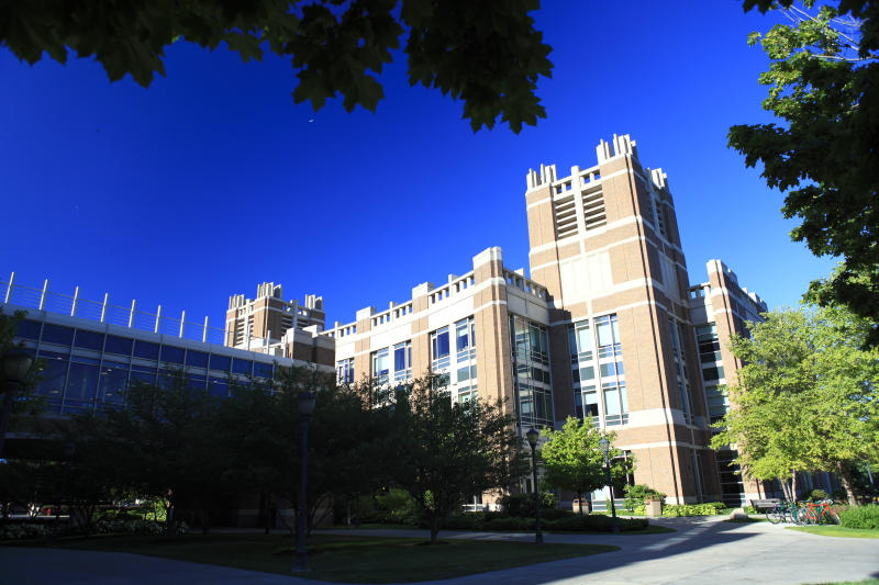 DPP0_1335.JPG