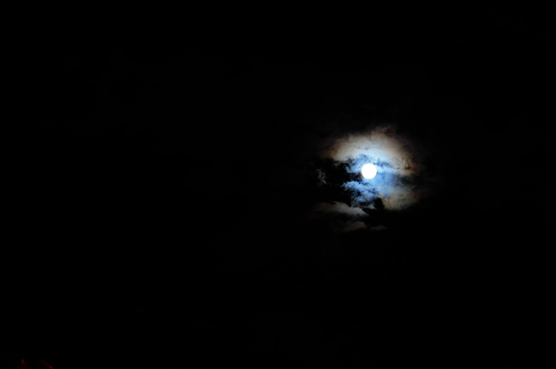 DSC_0263_副本.jpg