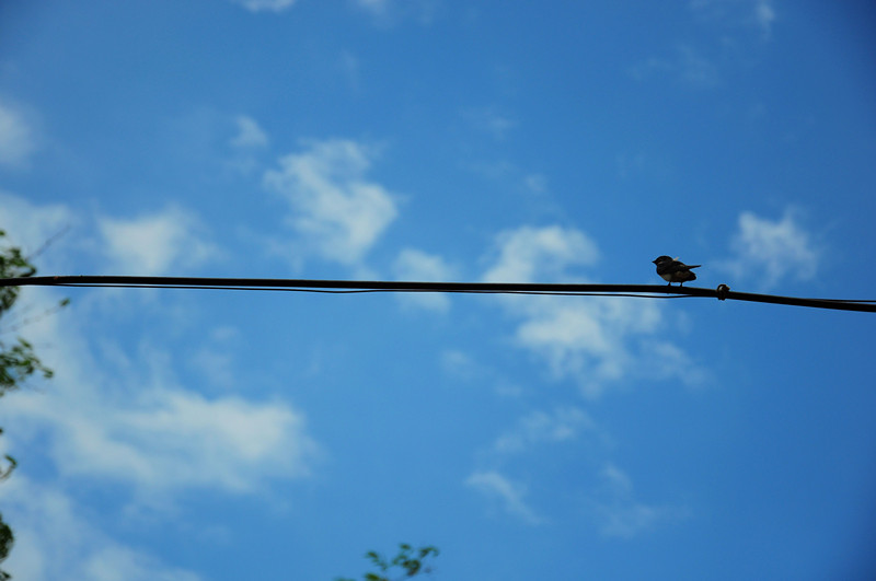 DSC_1818_副本.jpg