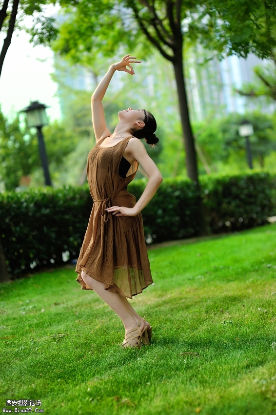 DSC_7938.jpg