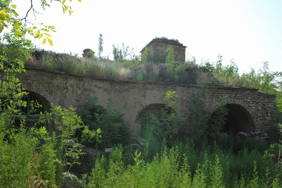 DSC_8178_2.jpg