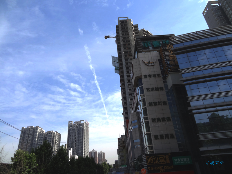 DSC00876.jpg