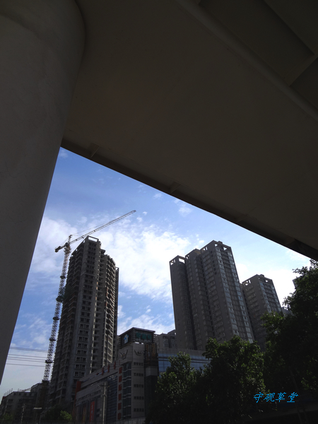 DSC00850.jpg