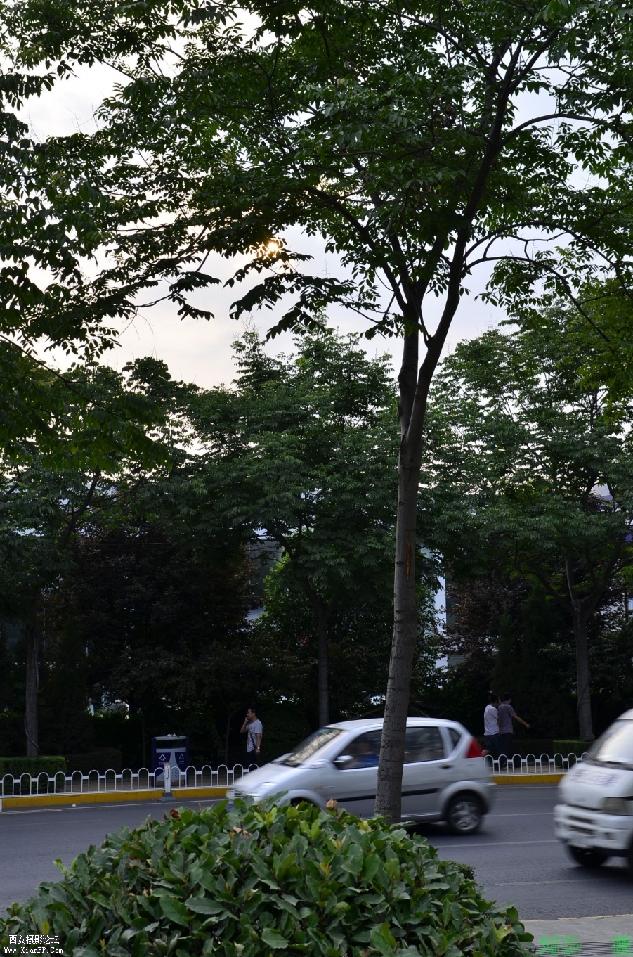 My Documents_DSC7065.JPG