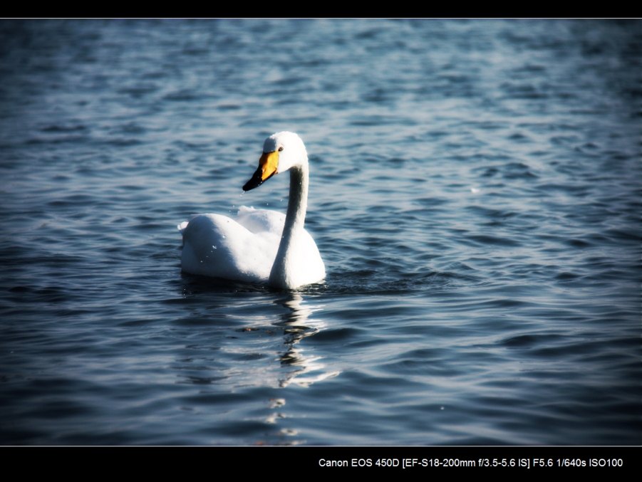 IMG_2761a.jpg