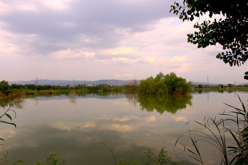 灞河湿地 035.jpg