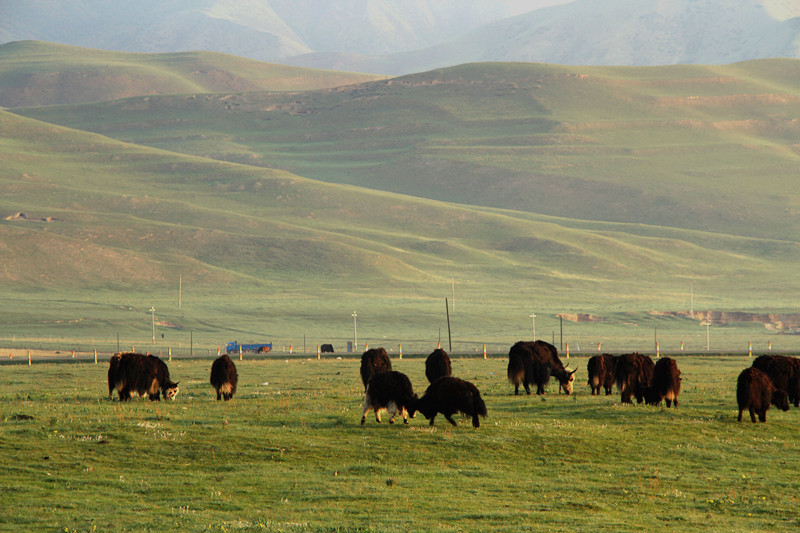 旅游 415_副本.jpg