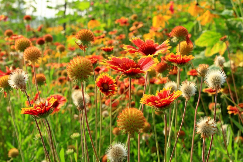 浐灞日出 160.jpg