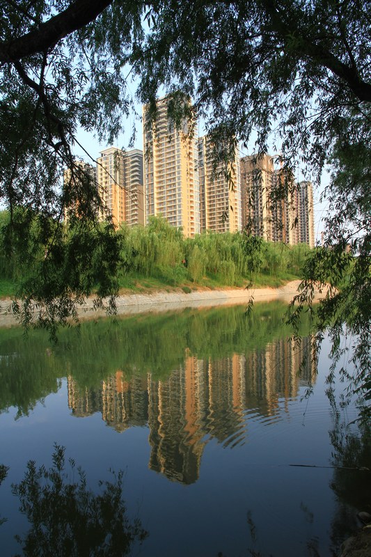 黄山旅游照片 1127.jpg