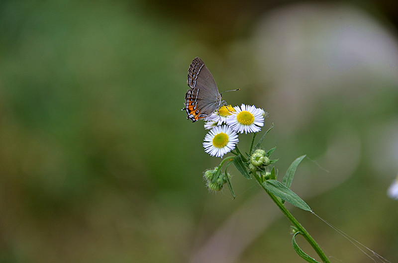 照片 079_副本.jpg