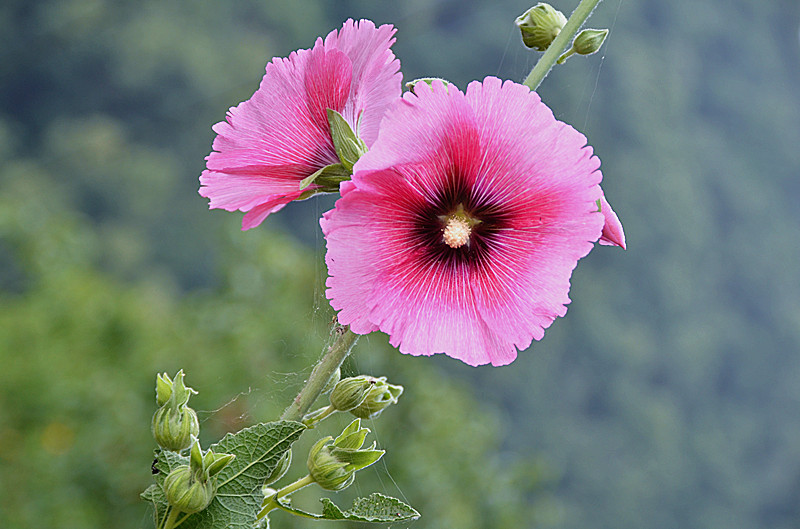 照片 082_副本.jpg