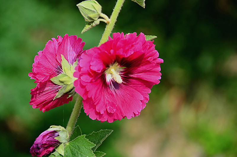 照片 108_副本.jpg