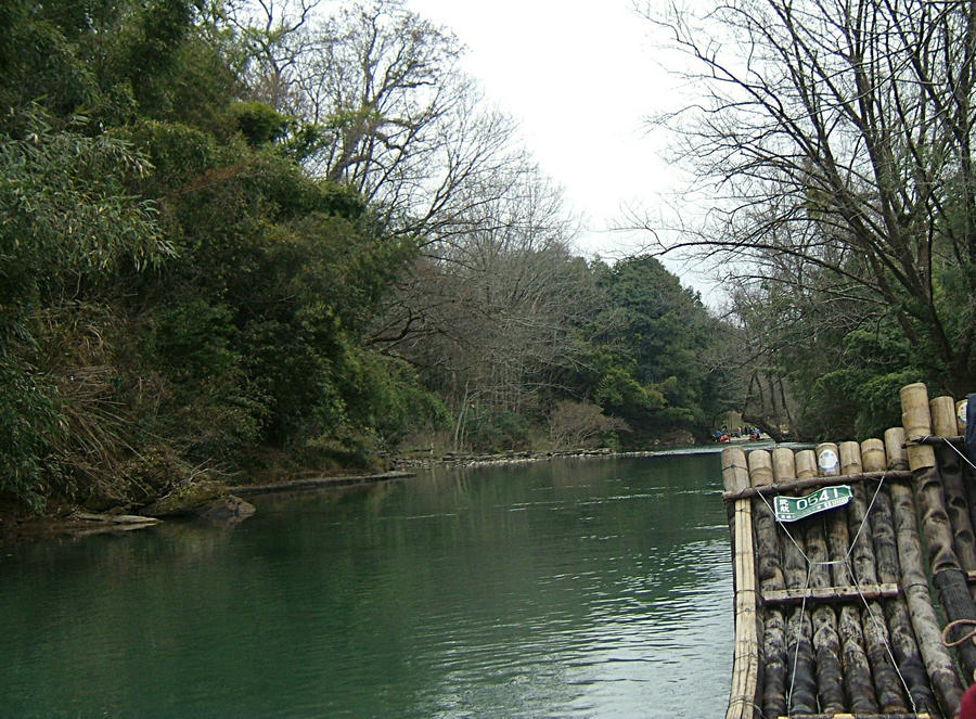 DSCF4446.jpg