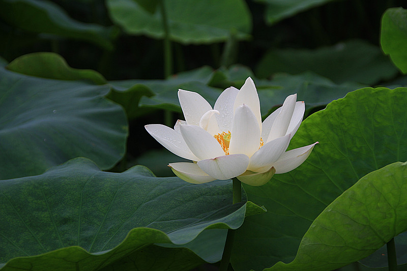 旅游 938_副本.jpg