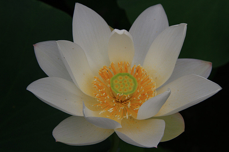 旅游 803_副本.jpg