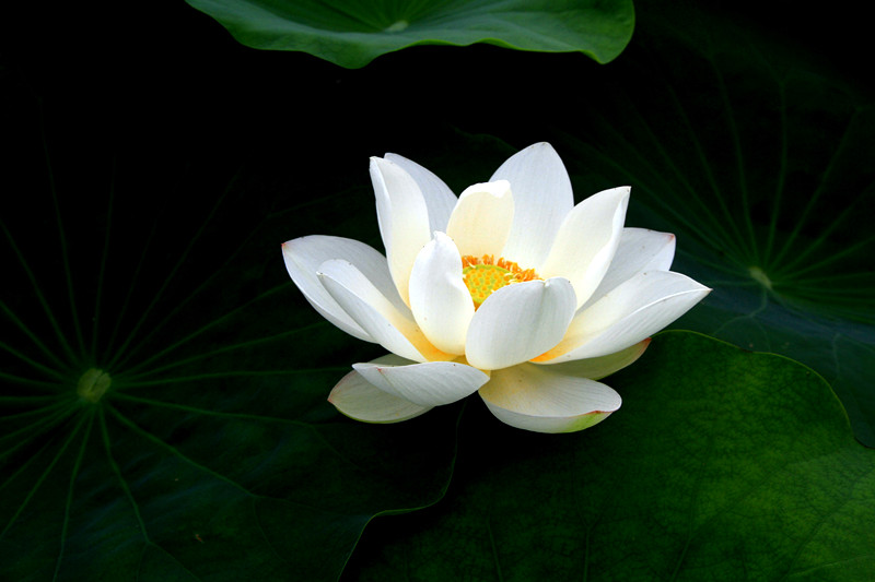 旅游 806_副本.jpg