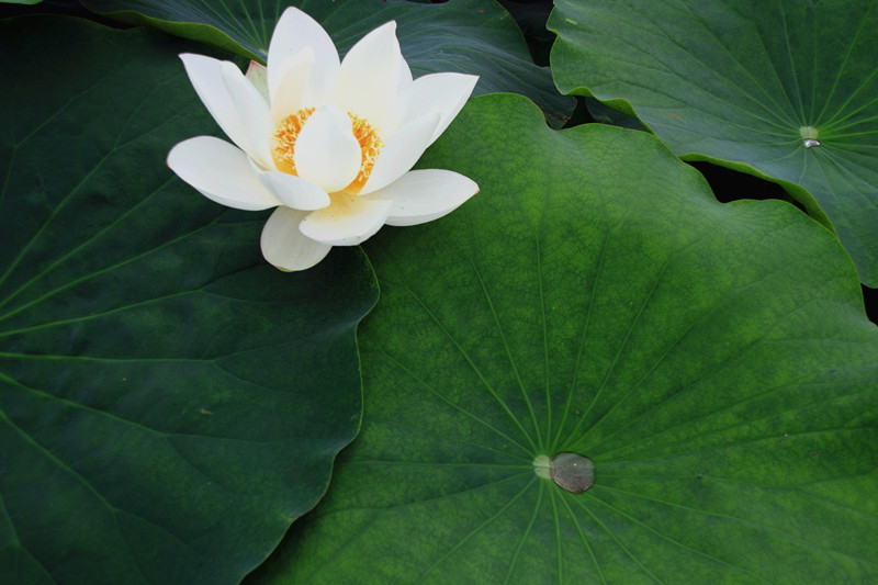 旅游 808_副本.jpg