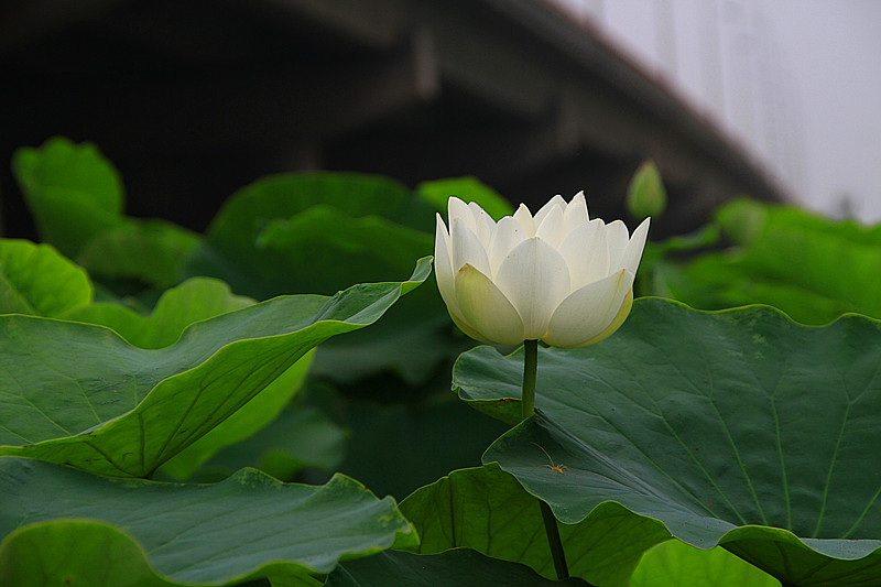 旅游 815_副本.jpg