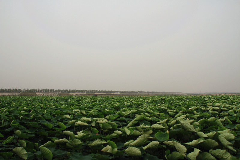 旅游 817_副本.jpg