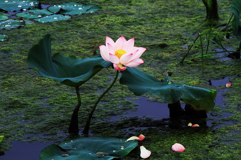 旅游 920_副本.jpg