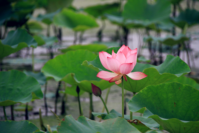 旅游 922_副本.jpg