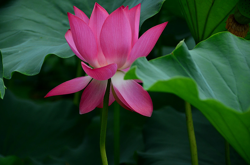 照片 008_副本.jpg