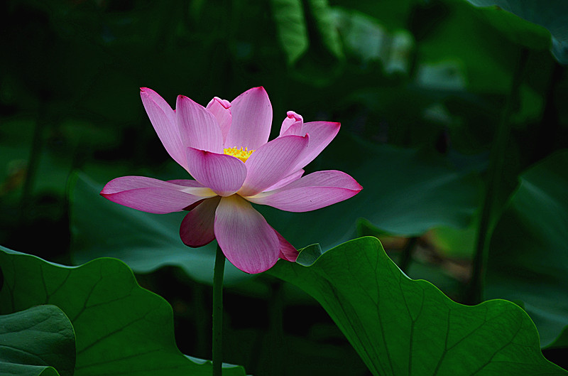 照片 024_副本.jpg