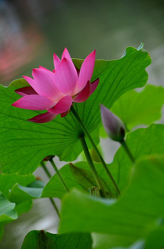 照片 042_副本.jpg