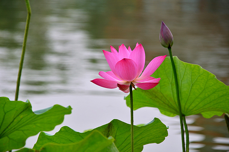 照片 047_副本.jpg